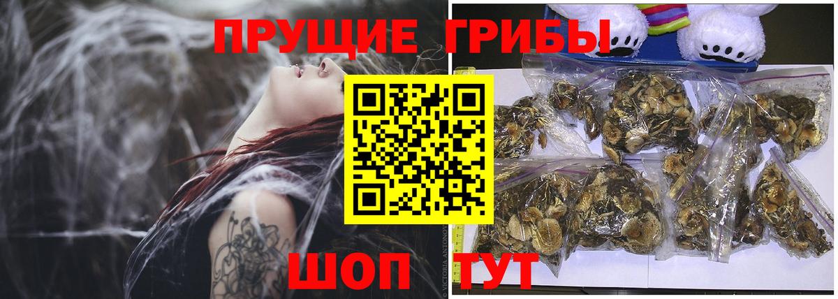 наркотики  Вход с VPN  Заводоуковск  Галлюциногенные грибы Cubensis 