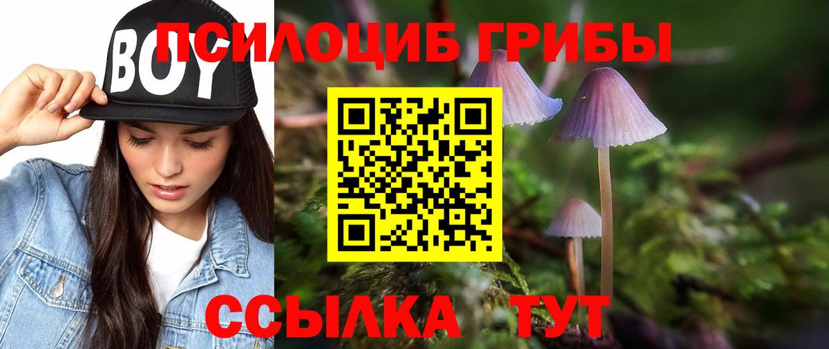 Галлюциногенные грибы Magic Shrooms Заводоуковск